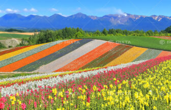 Majestic Natural Landscape of Hokkaido