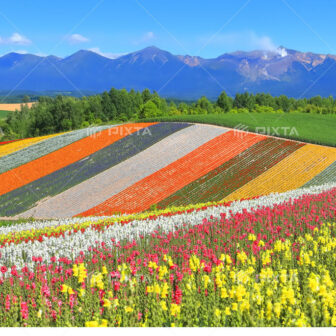Majestic Natural Landscape of Hokkaido