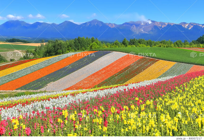 Majestic Natural Landscape of Hokkaido